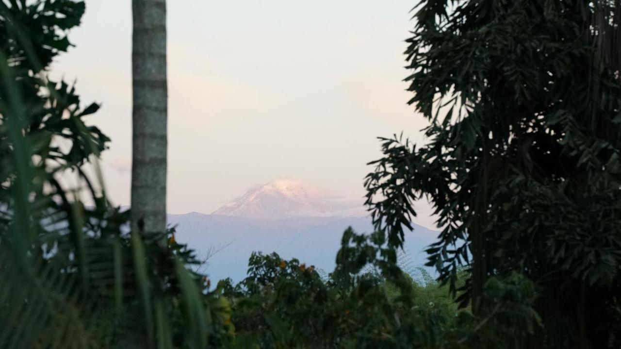 Finca La Argelia Кимбайя Экстерьер фото